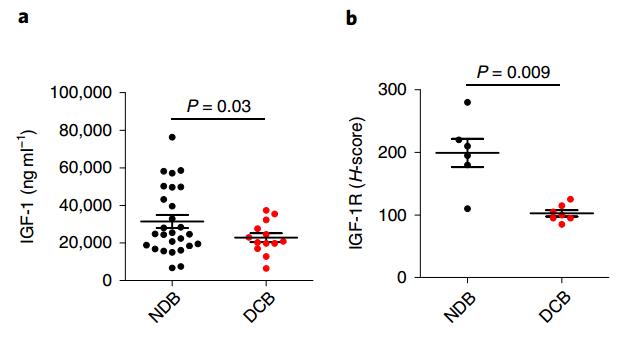 《自然》子刊：轻断食或能增强免疫治疗效果！科学家发现饥饿让非小细胞肺癌对PD-1抗体更敏感，有望解决免疫治疗耐药问题丨科学大发现