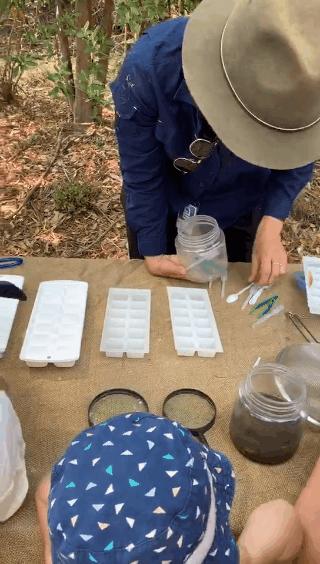 没有作业的澳洲暑假怎么熬？