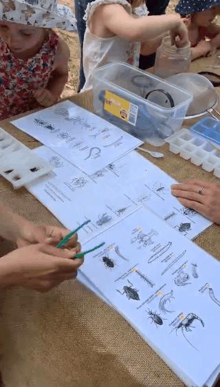 没有作业的澳洲暑假怎么熬？