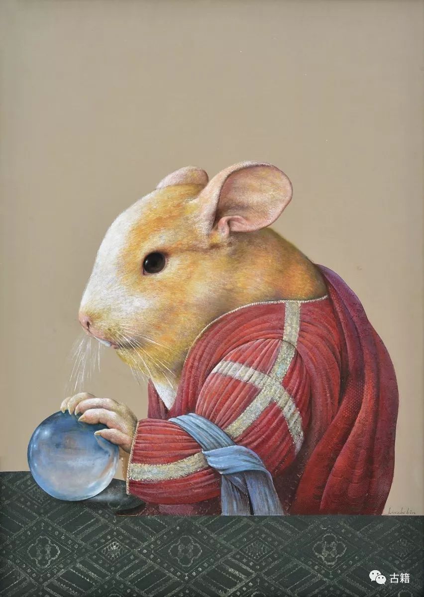 鼠年春晚说鼠,央视科普鼠年说鼠