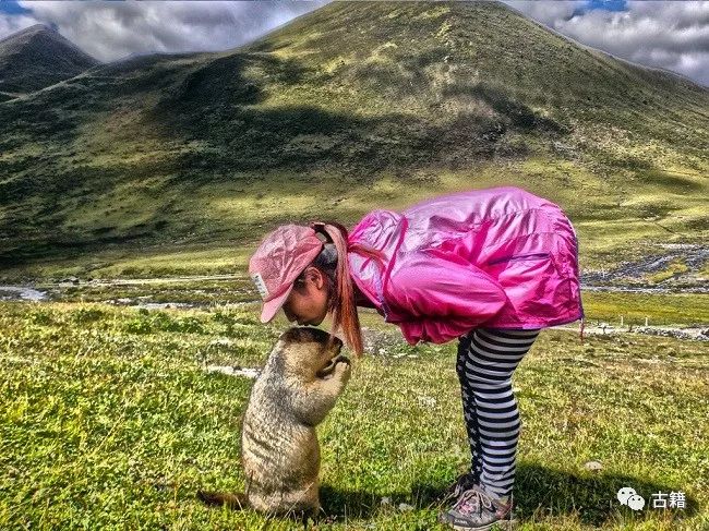 鼠年春晚说鼠,央视科普鼠年说鼠