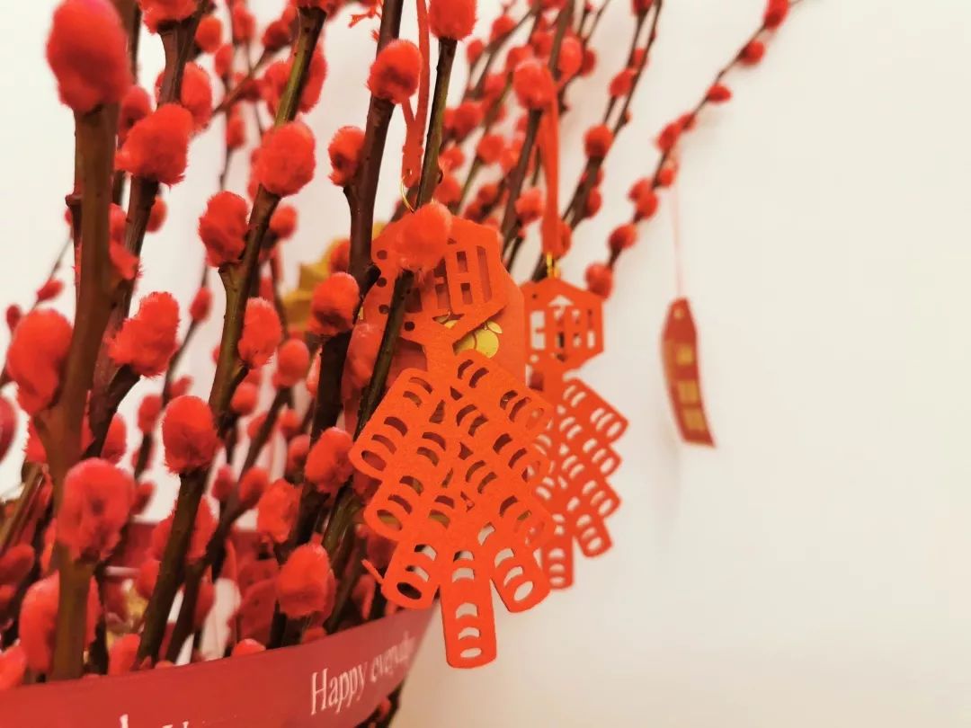 女孩必备的精致好物,十件生活好物推荐第一名