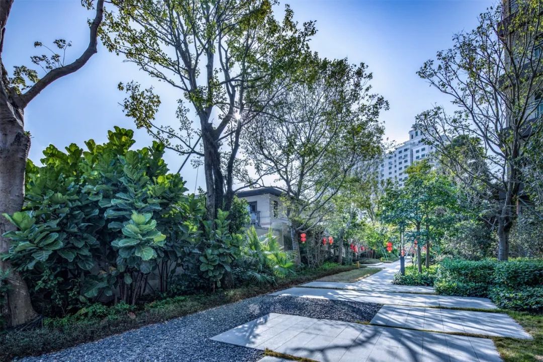 栖居自然，海畔云山|万科·悦湾府