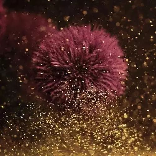 抗老三部曲紧致少女肌,抗老做好这五步hold住童颜少女肌