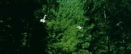 2000-2019,20年20部,最不该缺课的电影,上