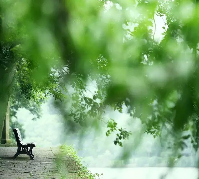 教科书式自我隔离,自我隔离要多少天