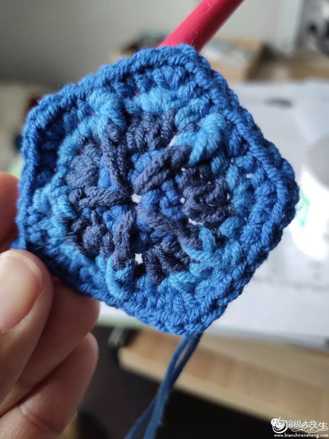 新手也能学会!毛线编织钩针非洲菊拼花鲸鱼(附图解)