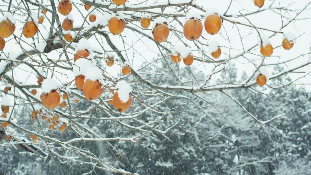 宅在家里也能拍出大自然风景,宅在家里挖掘自己的潜能