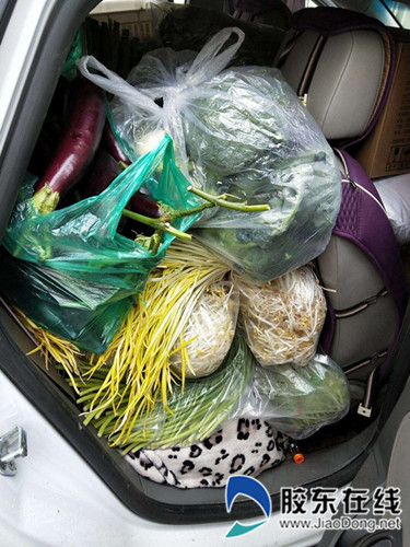 有事您说话热线,有事您说话辽宁栏目