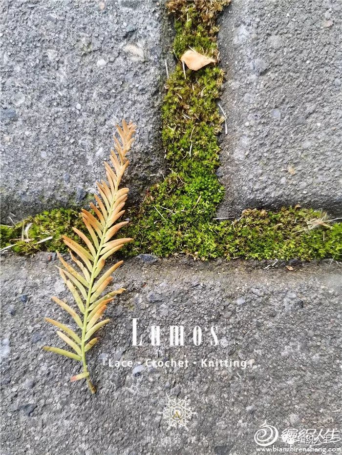 环形针毛衣收纳包怎么做,棒针环形针收纳包制作