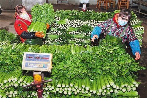 目标武汉理工大学,目标武汉大学