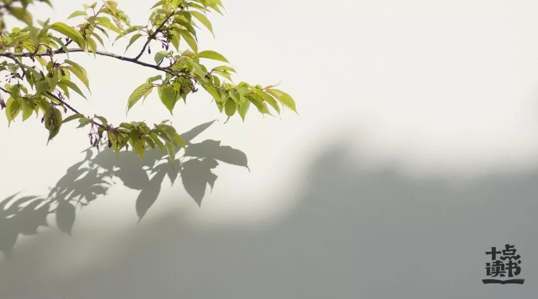 一生善良必有后福是谁说的,一生善良必有后福入心的禅语