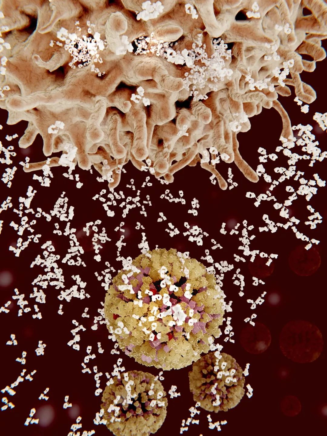 鍋囧鐥呮瘨鎰熸煋浜嗕綘,鍋囧鐥呮瘨鎰熸煋浜嗘垜