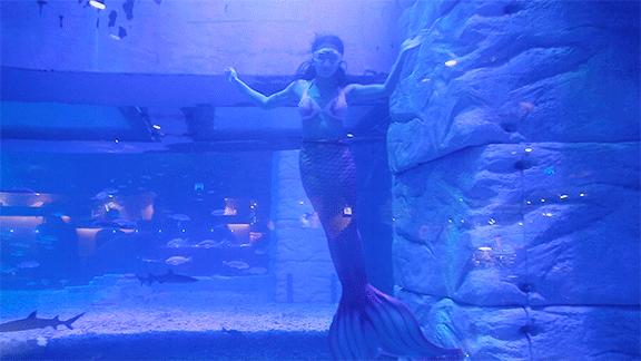 网红餐厅摆拍作秀视频,网红餐厅出圈名场面