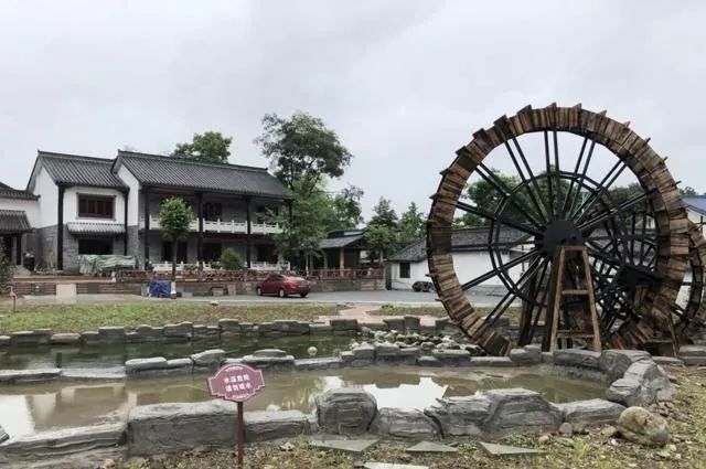 这次疫情我们都受到了什么伤害,这次疫情我们每个人的责任