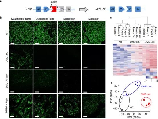 复旦大学徐彦辉Science；刘庄，蒋伟，毛辉，吴松，廖永红等成果速递丨BioDaily20200211