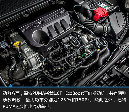 绂忕壒puma鍥藉唴涓婂競浠锋牸,绂忕壒puma鍗冲皢寮曞叆鍥藉唴