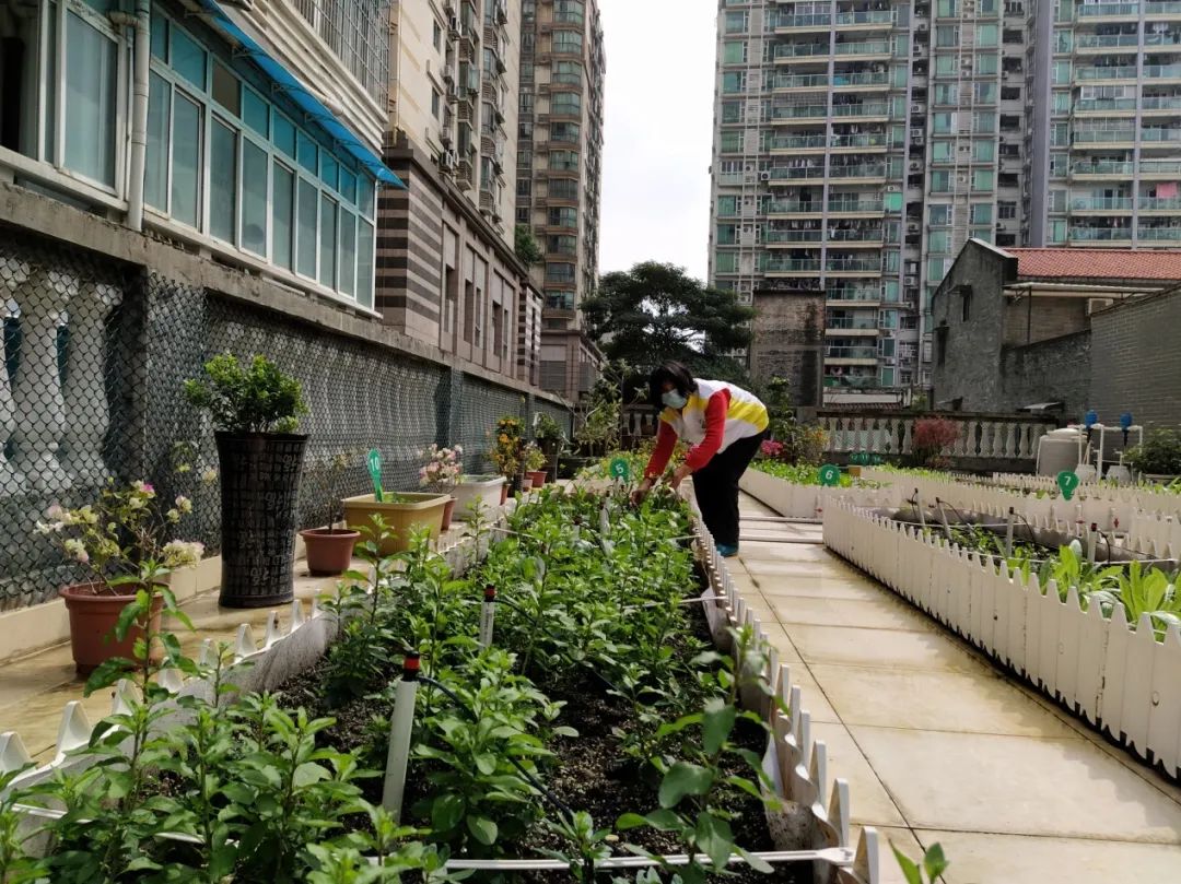 广州荔湾区新冠肺炎确诊者,荔湾新冠病例