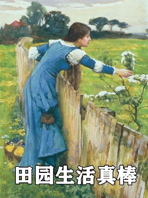 万事屋语音厅,万事屋图鉴