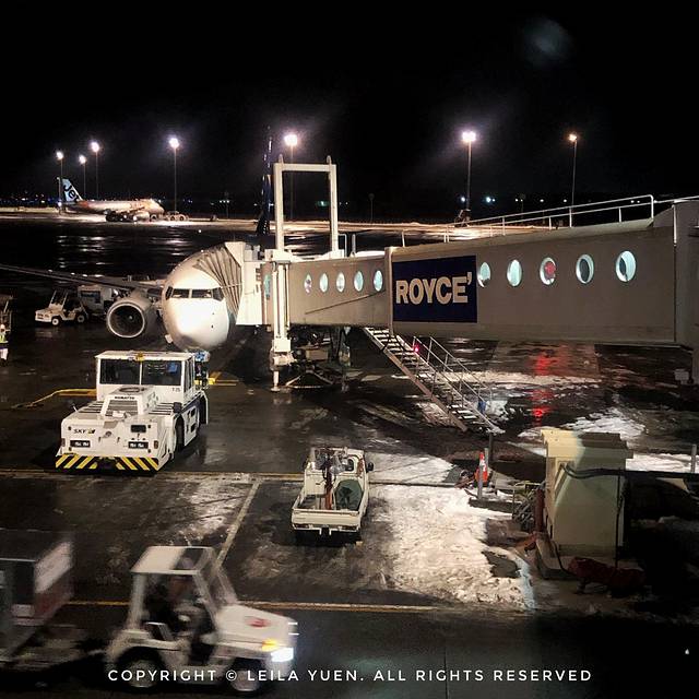 现在去日本买口罩,去日本买口罩日购