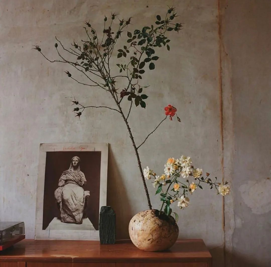 伦敦花店排名,伦敦花店哪个最好