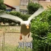 一人吃火锅多没劲,送你“一拖三”!想唱K+小酌?也答应你