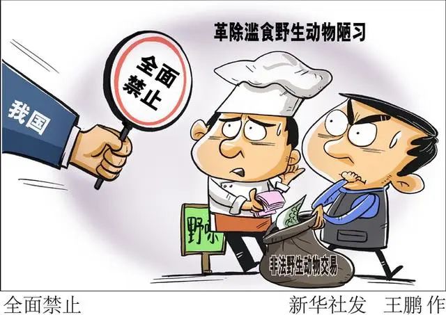 云南全面禁止非法野生动物交易!到底哪些不能吃?速看