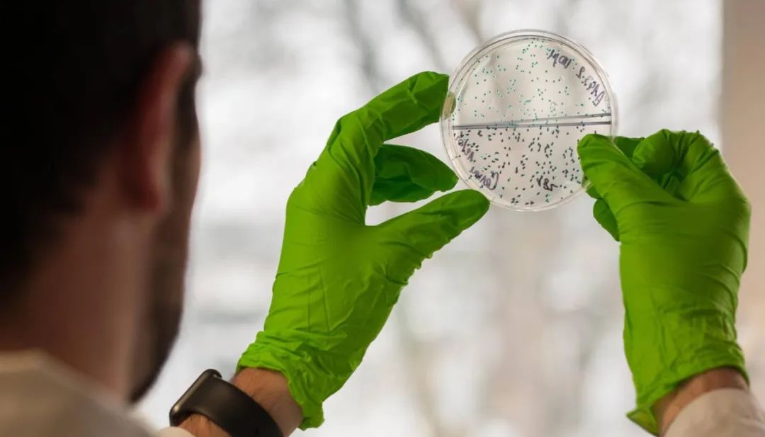 耶鲁mit学霸,被斯坦福录取的高中生