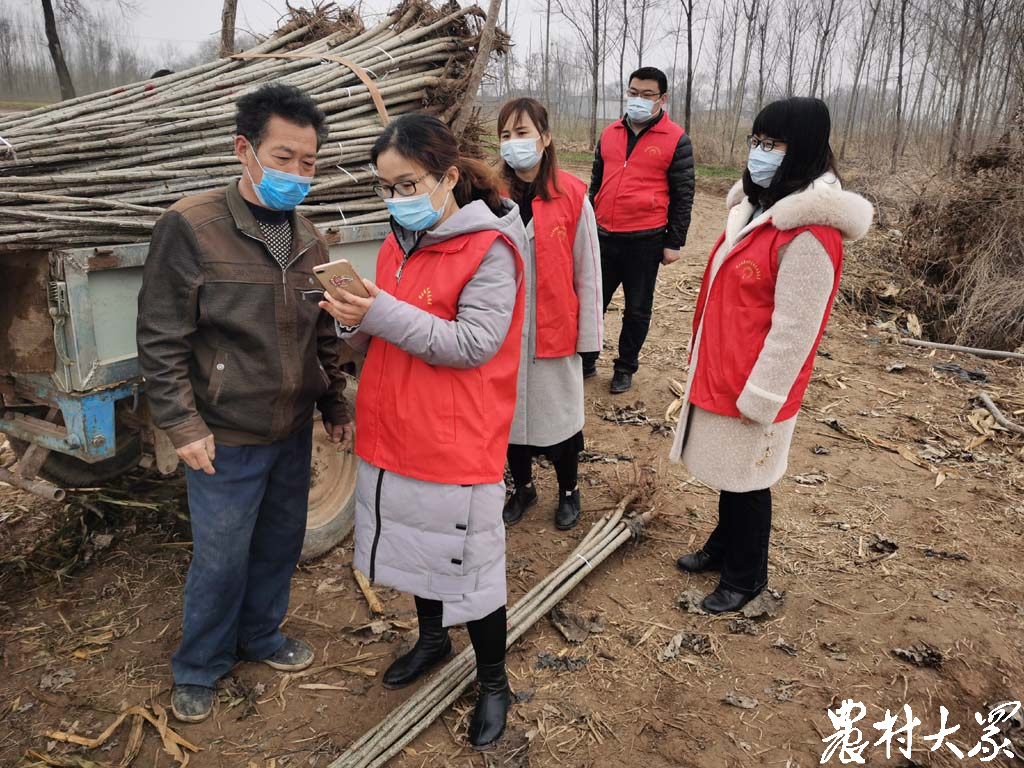 乐陵“红马夹”网上吆喝，帮农户卖出2万棵树苗