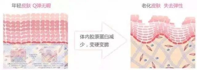 当人衰老了会出现什么变化,当身体衰老会出现哪几种现象