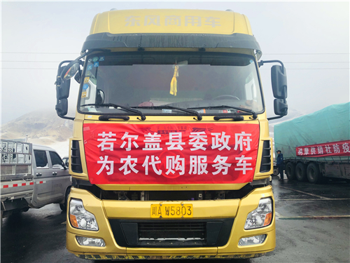 若尔盖必带物资,若尔盖县代办资质