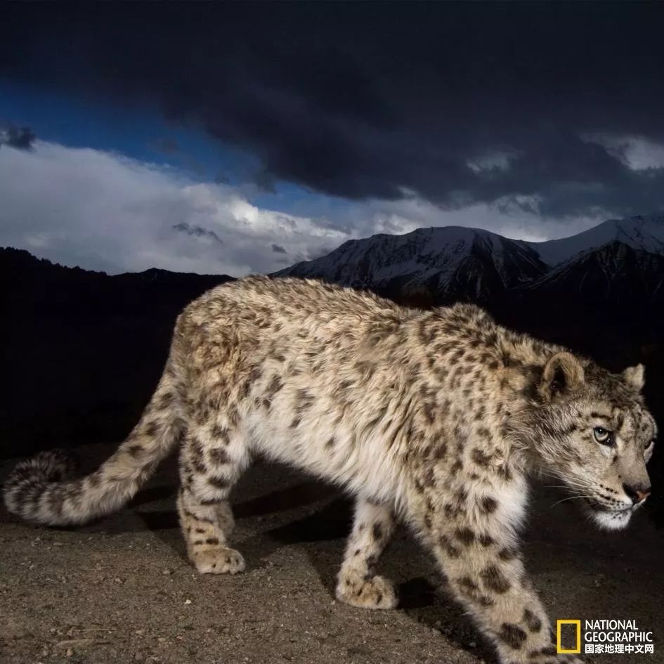 记住它们现在的模样,记住这些永不过期的食品
