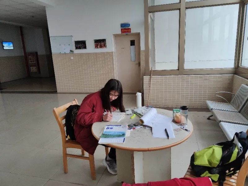 崇明有几个小学,崇明小学有多少学生