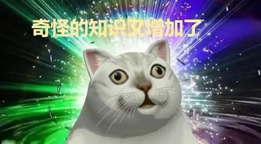 VeraWangxStarbucks|我和美女差的是买一杯星巴克的执着