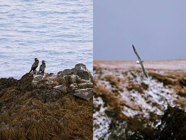 世界尽头冰岛极光图片,去冰岛看冰与火之歌