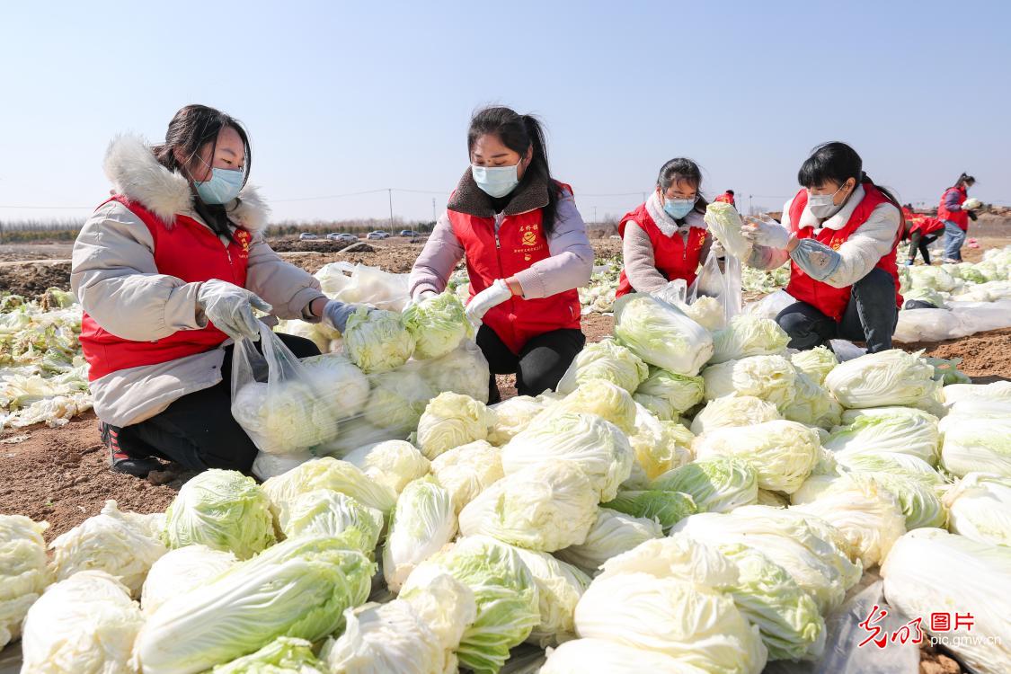 雷锋精神在疫情防控中闪烁,弘扬雷锋精神疫情防控主题党日