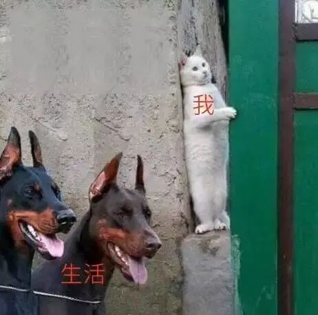 75度伏特加能杀病毒吗,伏特加杀病毒