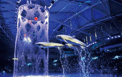 山东景区免费开放名单最新最全,山东景区门票免费政策最新