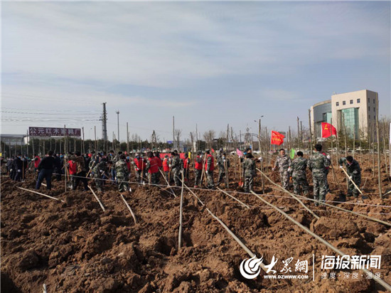 张店区园林绿化,新增百万亩国土绿化行动总结