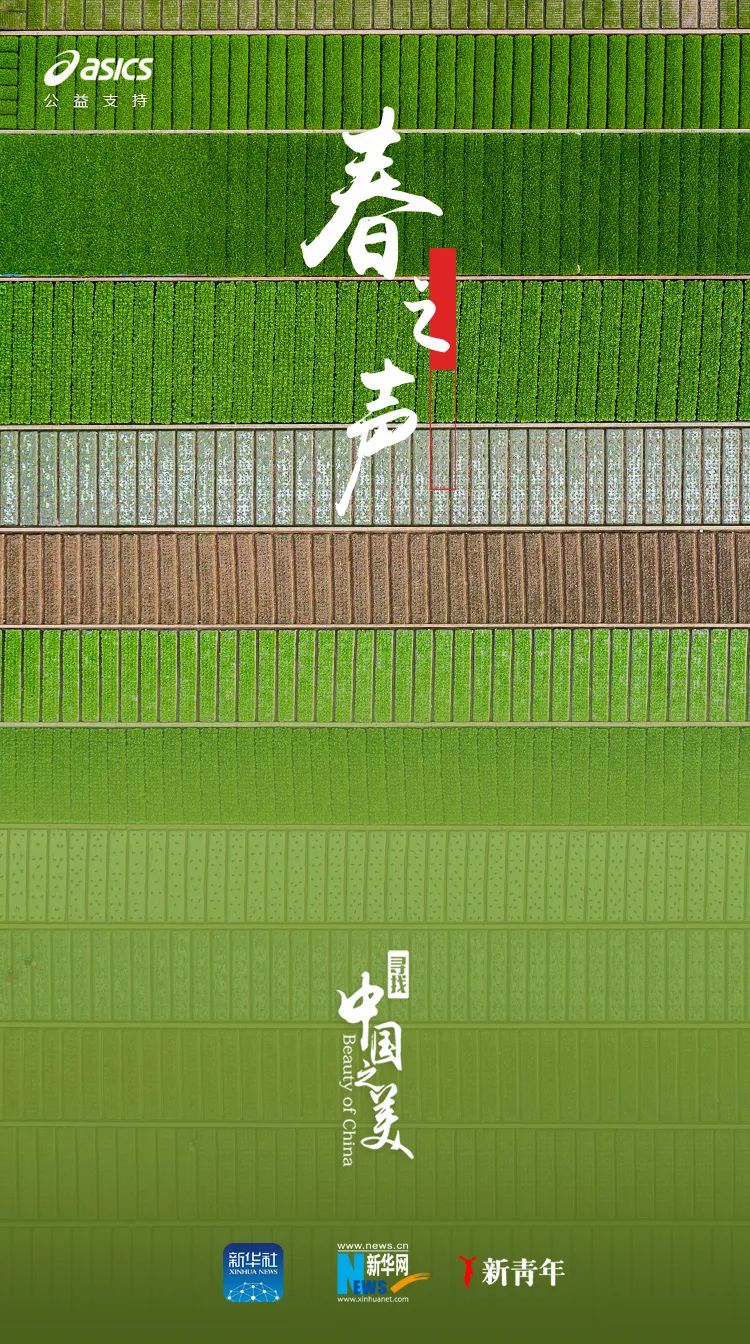 听春之声,听春之声圆舞曲感悟