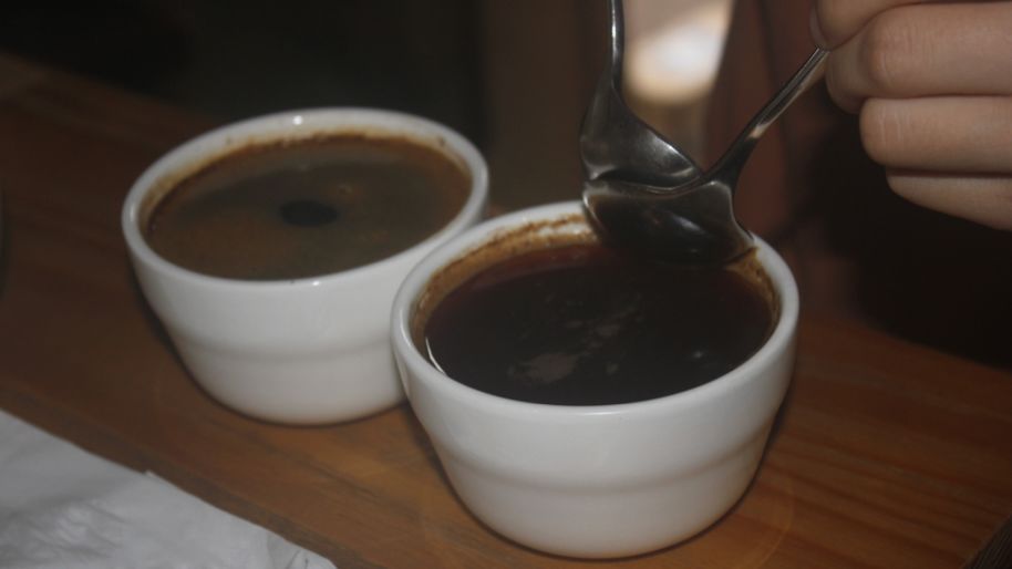 哥斯达黎加中央山谷咖啡,哥斯达黎加塔拉珠咖啡