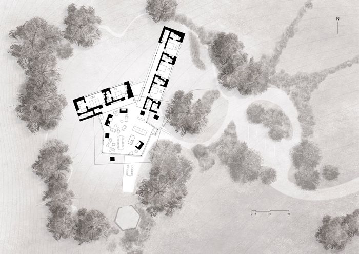 一年一度的植树,现在正在植树的视频