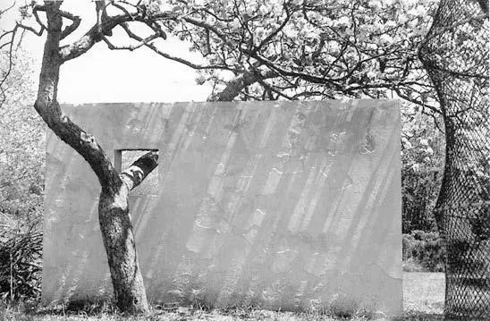 一起来植树的视频,今天适合植树吗