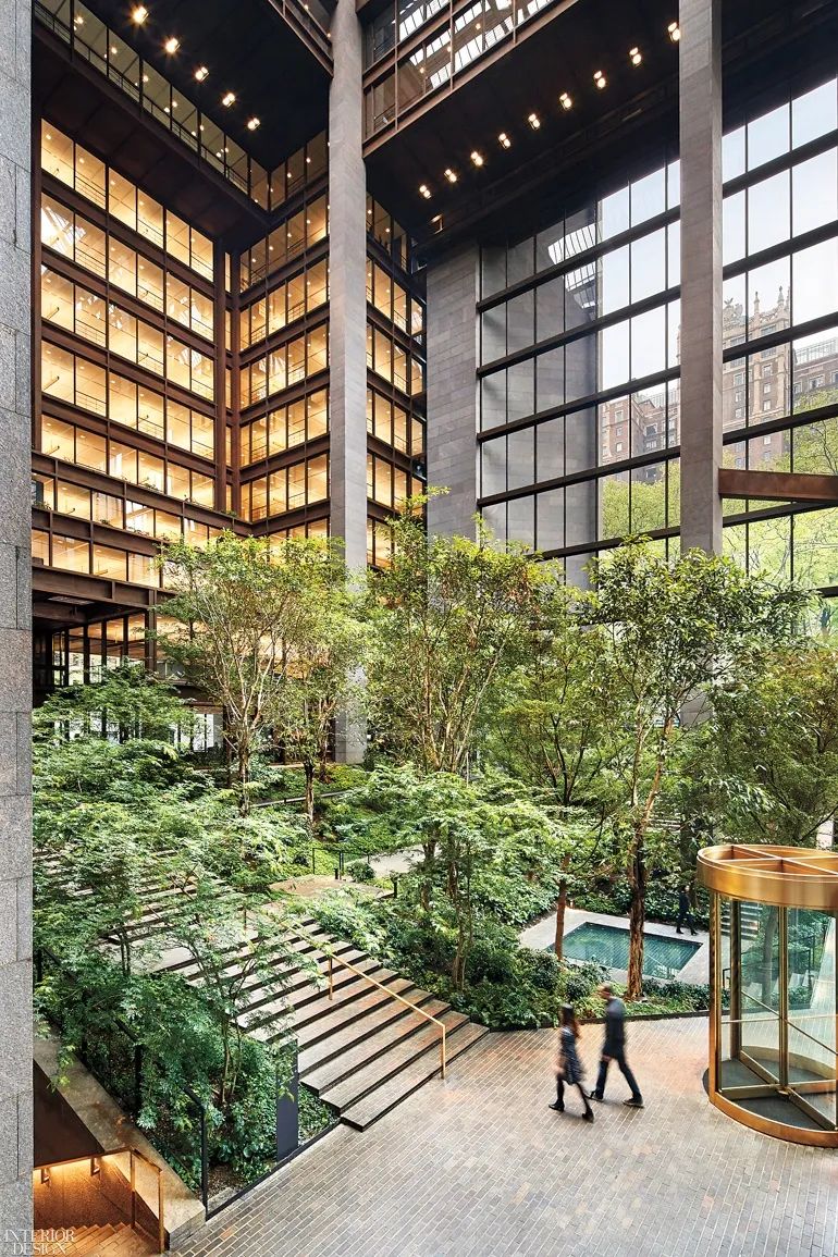 一起来植树的视频,今天适合植树吗