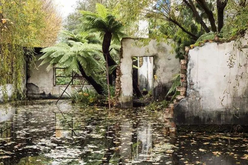 一年一度的植树,现在正在植树的视频
