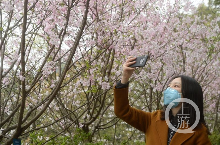 南山植物园现在还有什么,南山植物园花盛开