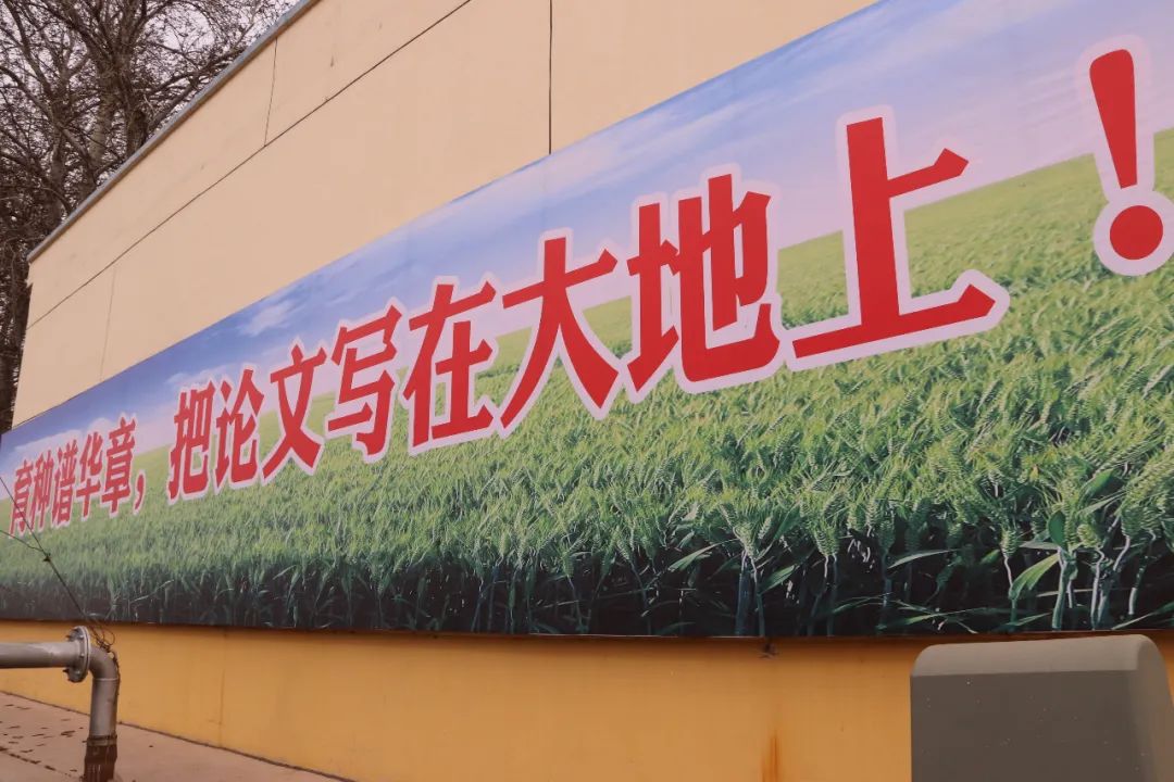 鏄ユ殩鑺卞紑蹇欓噷鍋烽棽,鏄ユ殩鑺卞紑蹇欎腑鍋烽棽