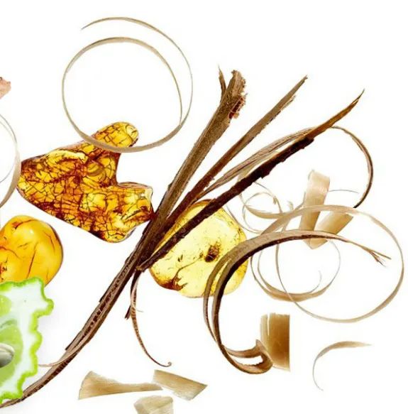 寻香|五彩斑斓的黑算什么,来见识一下五光十色的白