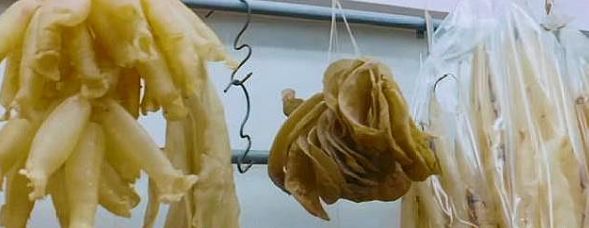 不整容不医美人真的会变吗,不整容不化妆变成美女