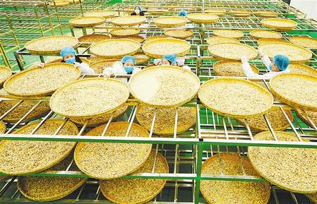 决战决胜脱贫攻坚手抄报内容图文,书写精彩脱贫答卷